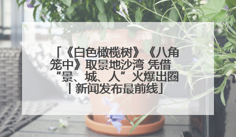 《白色橄榄树》《八角笼中》取景地沙湾 凭借“景、城、人”火爆出圈丨新闻发布最前线