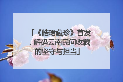 《皓珺藏珍》首发，解码云南民间收藏的坚守与担当