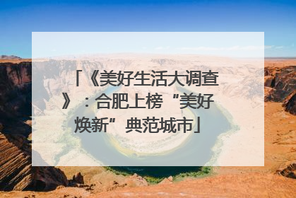 《美好生活大调查》：合肥上榜“美好焕新”典范城市