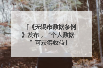 《无锡市数据条例》发布，“个人数据”可获得收益