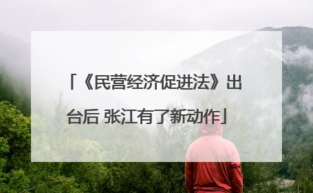 《民营经济促进法》出台后 张江有了新动作