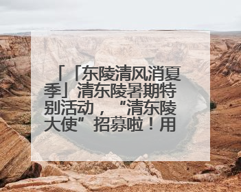「东陵清风消夏季」清东陵暑期特别活动，“清东陵大使”招募啦！用你的热爱守护世界遗产！