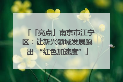 「亮点」南京市江宁区：让新兴领域发展跑出 “红色加速度”