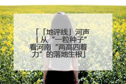 「地评线」河声丨从“一粒种子”看河南“两高四着力”的落地生根