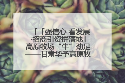 「强信心 看发展·招商引资拼落地」高原牧场“牛”劲足——甘肃华予高原牧场高标准奶牛肉牛养殖项目一线见闻