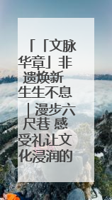 「文脉华章」非遗焕新 生生不息｜漫步六尺巷 感受礼让文化浸润的“巷”往生活