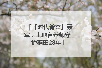 「时代脊梁」聂军：土地营养师守护稻田28年