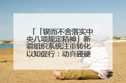 「锲而不舍落实中央八项规定精神」新疆组织系统注重转化以知促行：动真碰硬抓好整改整治