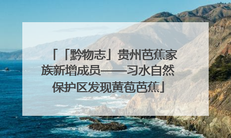 「黔物志」贵州芭蕉家族新增成员——习水自然保护区发现黄苞芭蕉
