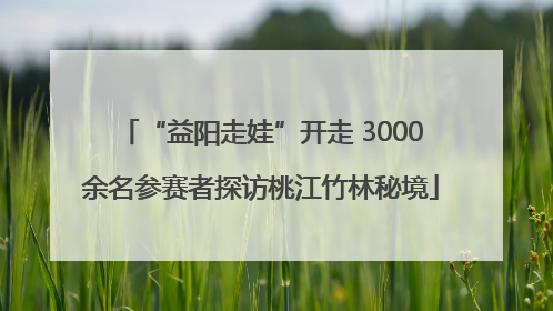 “益阳走娃”开走 3000余名参赛者探访桃江竹林秘境