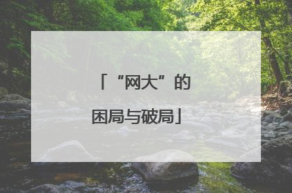 “网大”的困局与破局