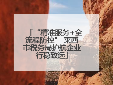 “精准服务+全流程防控” 莱西市税务局护航企业行稳致远
