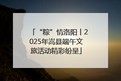 “粽”情洛阳丨2025年嵩县端午文旅活动精彩纷呈