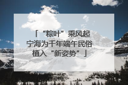 “粽叶”乘风起 宁海为千年端午民俗植入“新姿势”