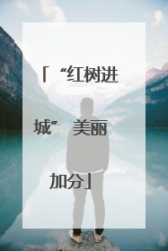 “红树进城” 美丽加分