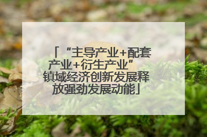 “主导产业+配套产业+衍生产业” 镇域经济创新发展释放强劲发展动能