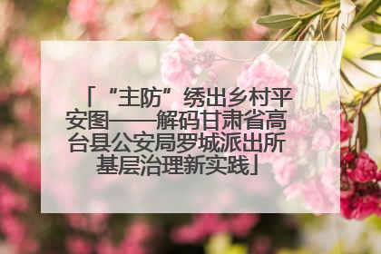 “主防”绣出乡村平安图——解码甘肃省高台县公安局罗城派出所基层治理新实践