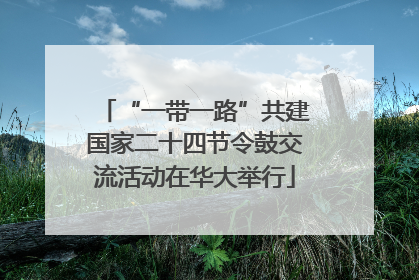 “一带一路”共建国家二十四节令鼓交流活动在华大举行
