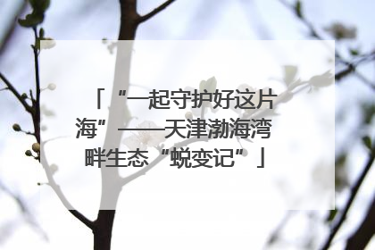 “一起守护好这片海”——天津渤海湾畔生态“蜕变记”