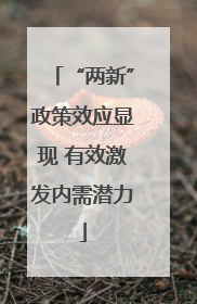 “两新”政策效应显现 有效激发内需潜力