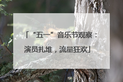 “五一”音乐节观察：演员扎堆，流量狂欢