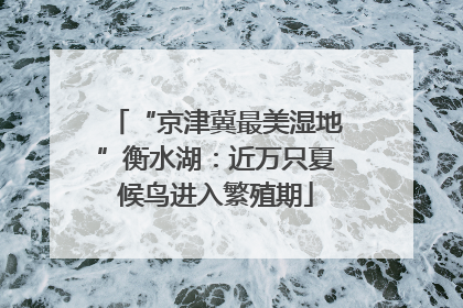 “京津冀最美湿地”衡水湖：近万只夏候鸟进入繁殖期