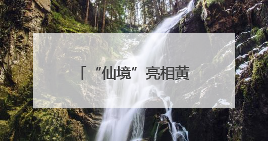 “仙境”亮相黄浦江畔，三大优惠游玩政策等你来