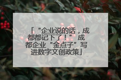 “企业说的话，成都都记下了！” 成都企业“金点子”写进数字文创政策