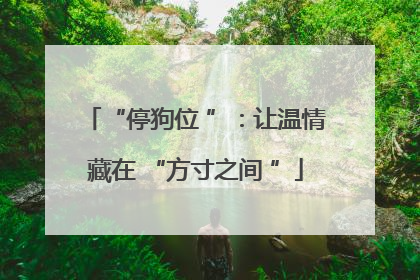 “停狗位 ”：让温情藏在 “方寸之间 ”