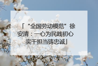 “全国劳动模范”徐安清：一心为民践初心 实干担当铸忠诚