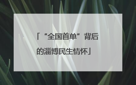 “全国首单”背后的淄博民生情怀