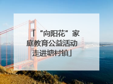 “向阳花”家庭教育公益活动走进塘村镇