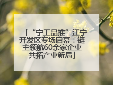 “宁工品推”江宁开发区专场启幕：链主领航60余家企业共拓产业新局
