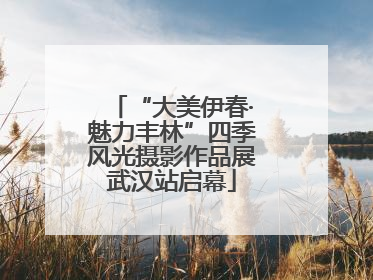 “大美伊春·魅力丰林”四季风光摄影作品展武汉站启幕