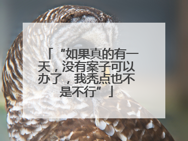 “如果真的有一天，没有案子可以办了，我秃点也不是不行”