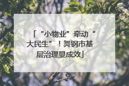 “小物业”牵动“大民生”！舞钢市基层治理显成效