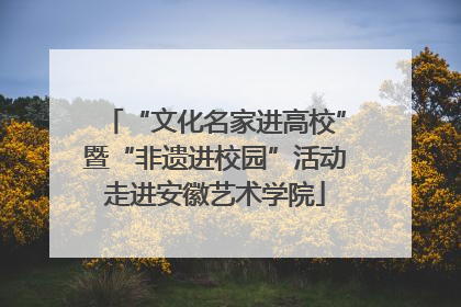 “文化名家进高校”暨“非遗进校园”活动走进安徽艺术学院
