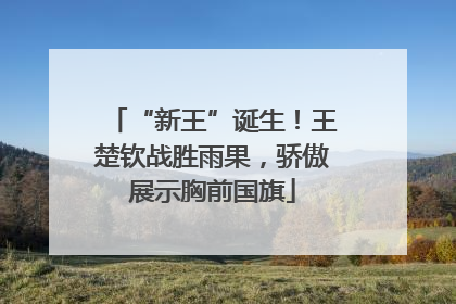 “新王”诞生！王楚钦战胜雨果，骄傲展示胸前国旗
