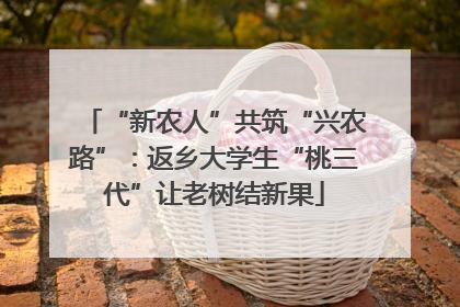 “新农人”共筑“兴农路”：返乡大学生“桃三代”让老树结新果