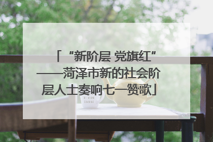 “新阶层 党旗红”——菏泽市新的社会阶层人士奏响七一赞歌