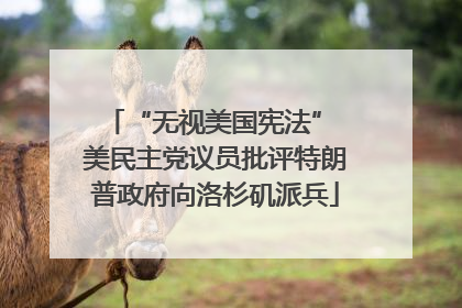 “无视美国宪法” 美民主党议员批评特朗普政府向洛杉矶派兵