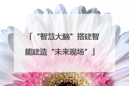 “智慧大脑”搭建智能建造“未来现场”