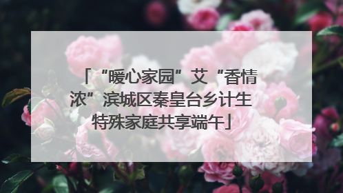 “暖心家园”艾“香情浓”滨城区秦皇台乡计生特殊家庭共享端午