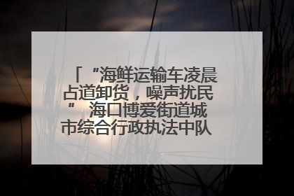 “海鲜运输车凌晨占道卸货，噪声扰民” 海口博爱街道城市综合行政执法中队：将联合交警加强长堤路一带巡逻