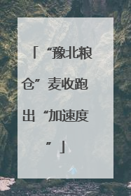 “豫北粮仓”麦收跑出“加速度”