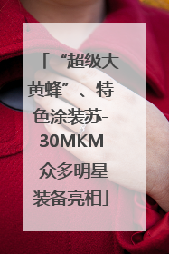 “超级大黄蜂”、特色涂装苏-30MKM 众多明星装备亮相