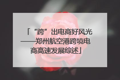 “跨”出电商好风光——郑州航空港跨境电商高速发展综述