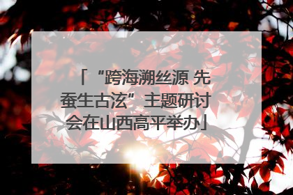 “跨海溯丝源 先蚕生古泫”主题研讨会在山西高平举办