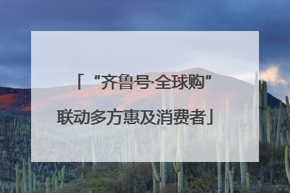 “齐鲁号·全球购”联动多方惠及消费者