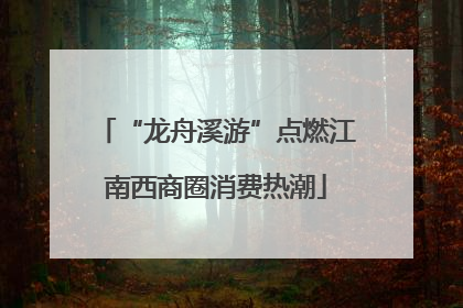 “龙舟溪游”点燃江南西商圈消费热潮